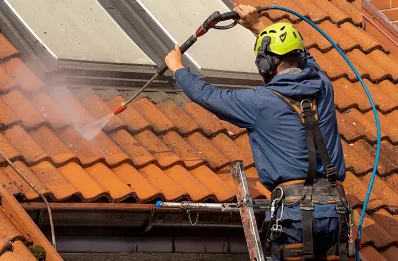 Démoussage et hydrofuge de toiture à Saléon